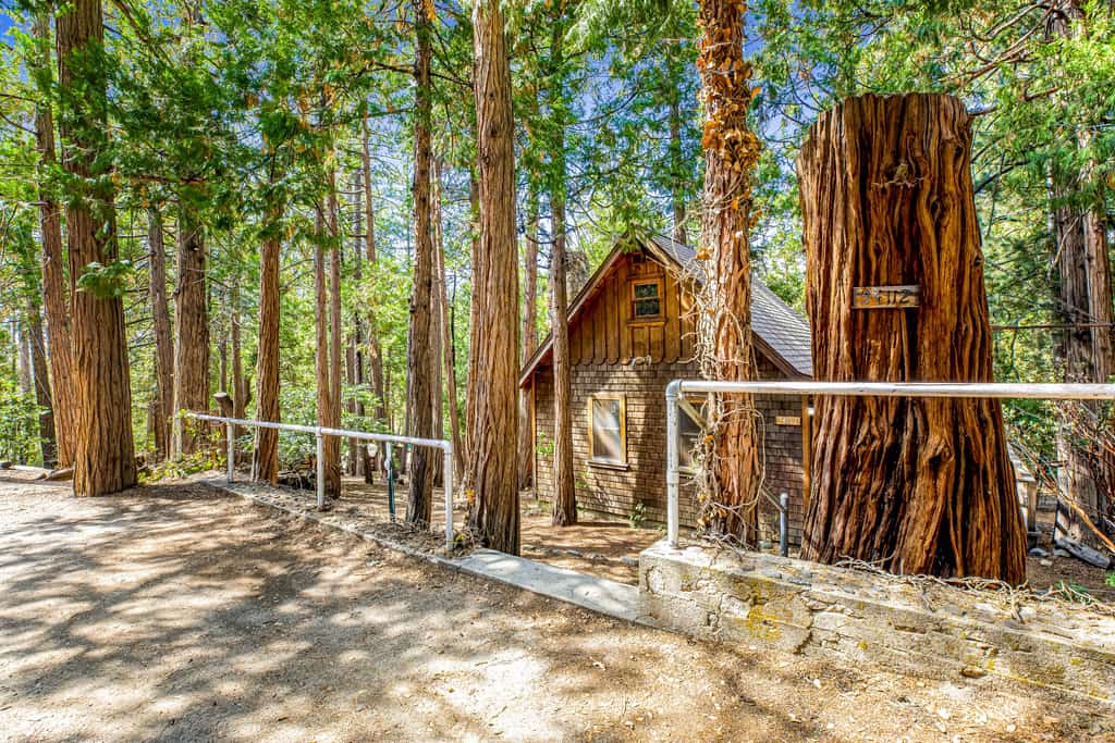 Cozy dog friendly cabin w/large deck, original rock fireplace & loft bedroom