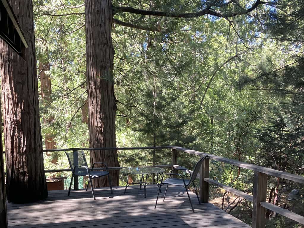 Cozy dog friendly cabin w/large deck, original rock fireplace & loft bedroom