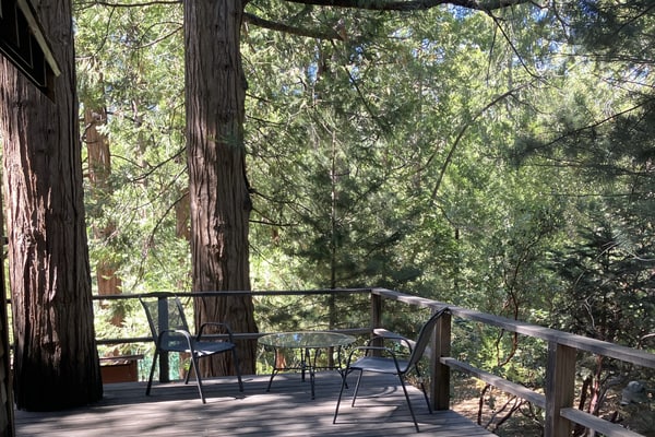 Cozy dog friendly cabin w/large deck, original rock fireplace & loft bedroom