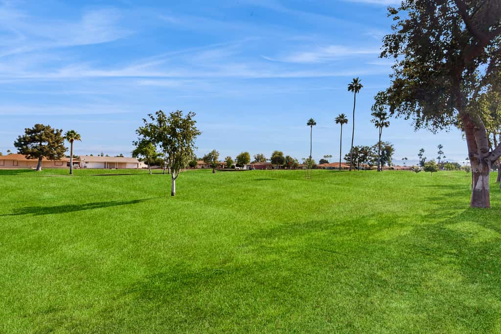 Mesa Oasis