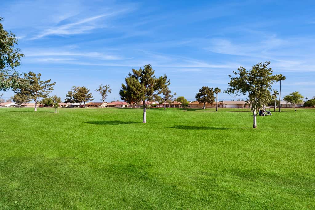Mesa Oasis