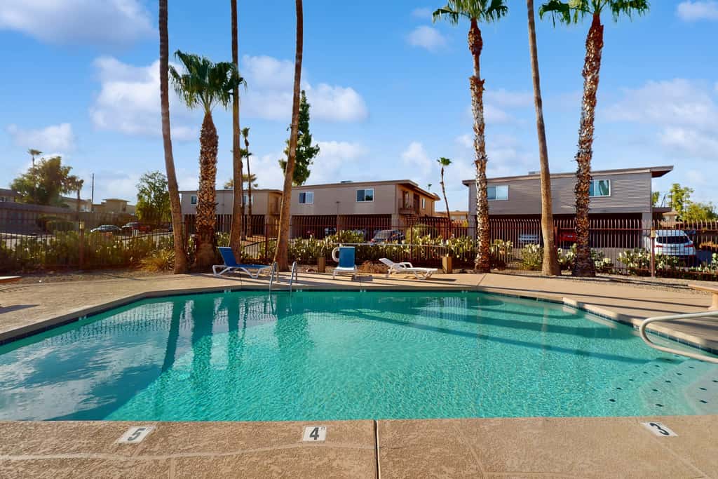 Fun in the Fountain Hills Sun