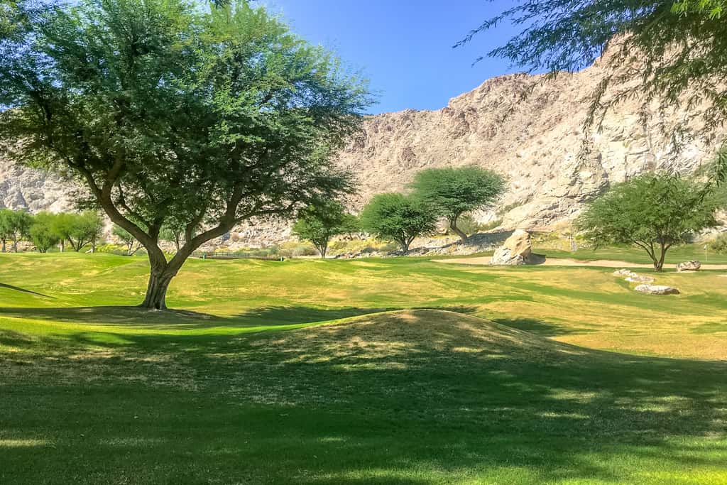 La Quinta Mountain Escape