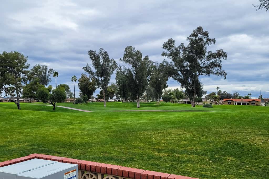 On the 13th Hole