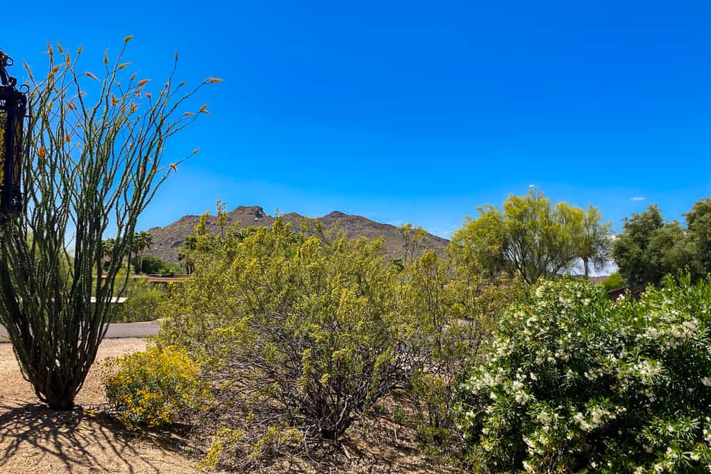 Ground-floor condo with on-site pool, grills, patio, & central AC