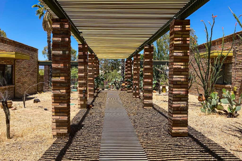 Tranquil Trail #6
