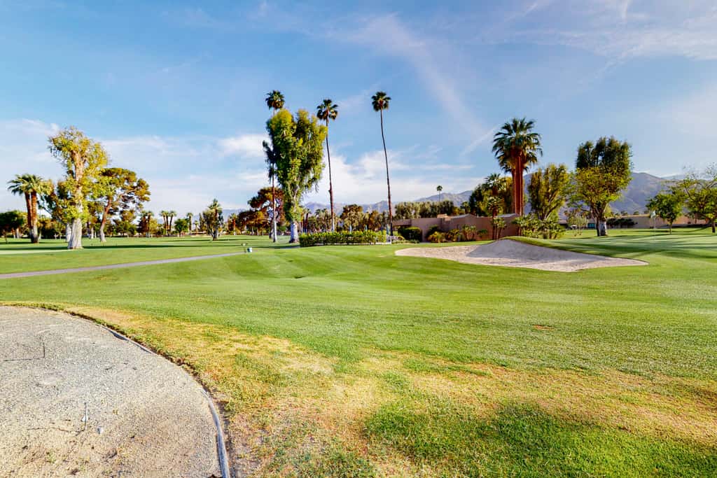 Mod Reflections at Tamarisk