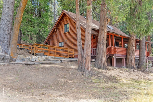 Dog-friendly cabin in the woods with WiFi, wood stove, and private washer/dryer