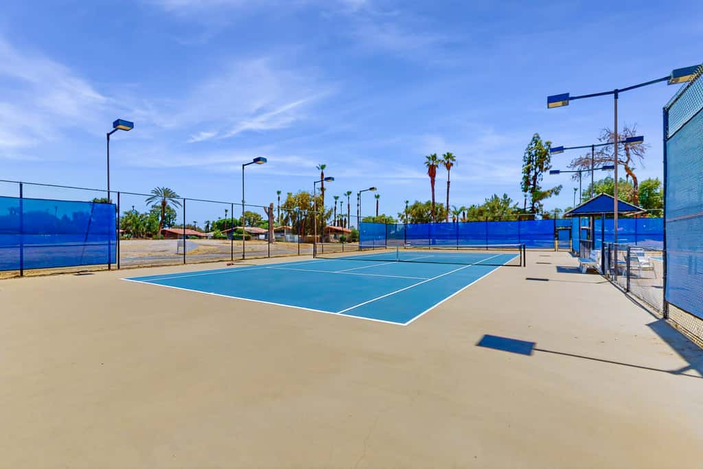 Palm Oasis