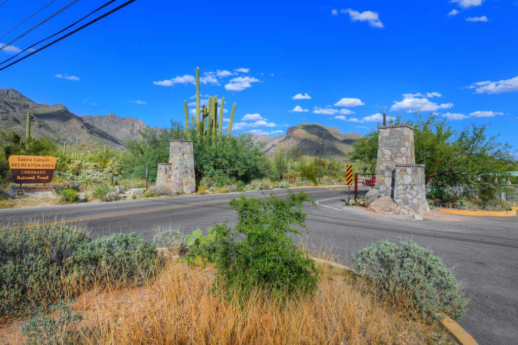 Sabino Canyon Gem