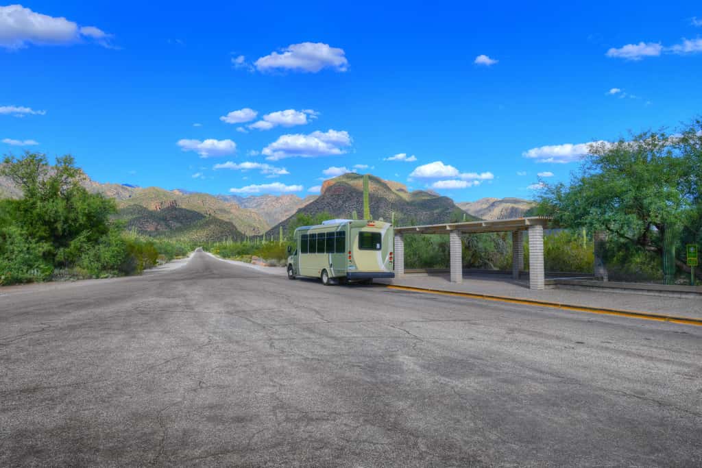 Sabino Canyon Gem