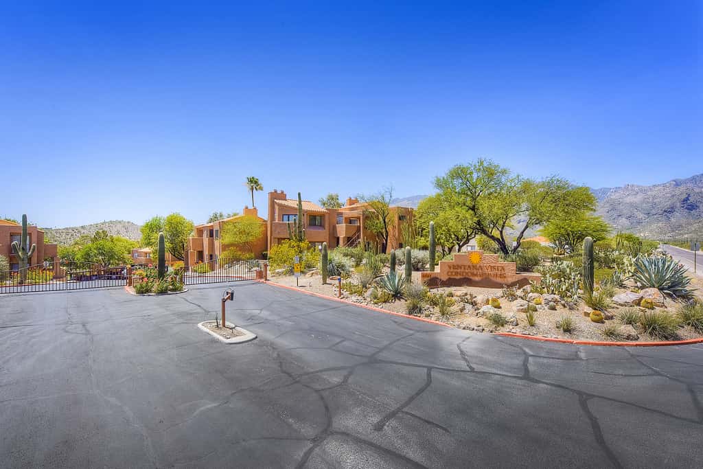 Sabino Canyon Gem