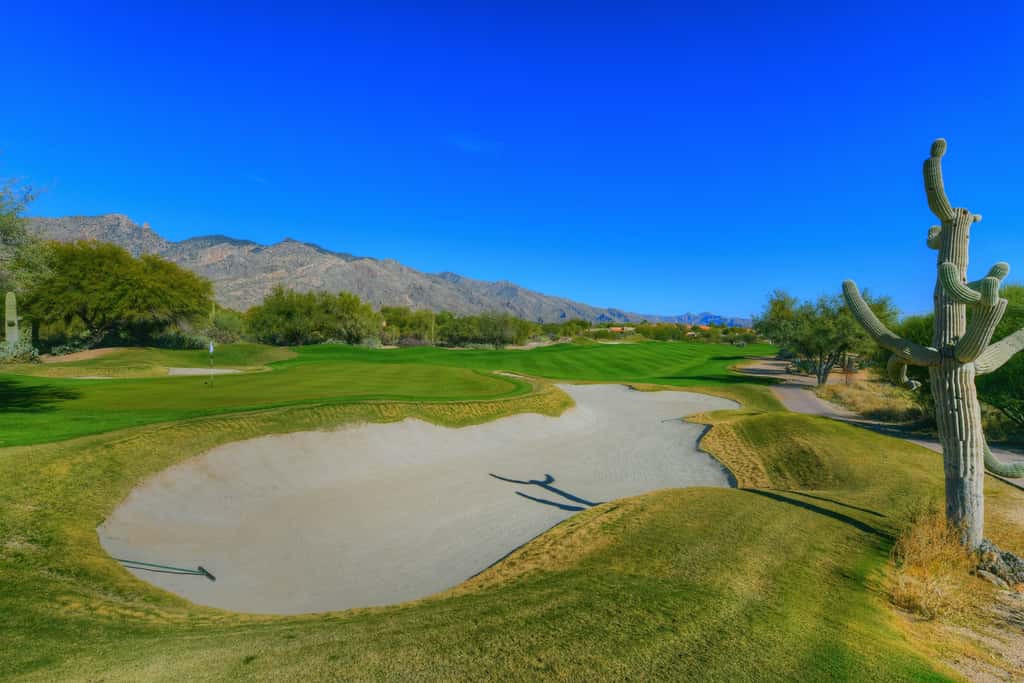 Sabino Canyon Gem