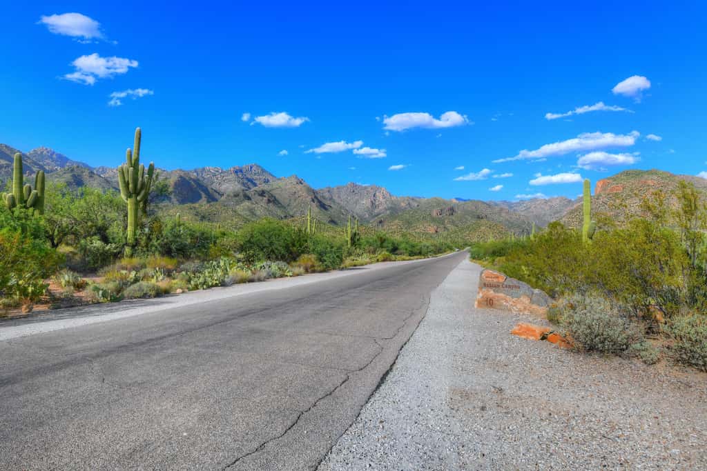 Sabino Canyon Gem