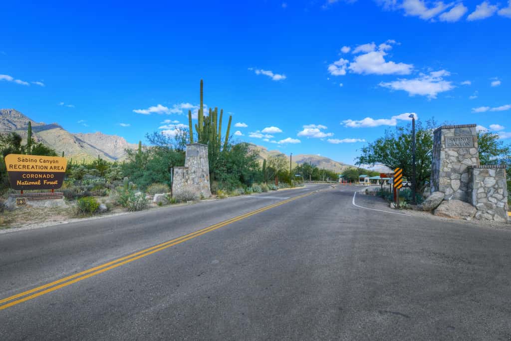 Sabino Canyon Gem