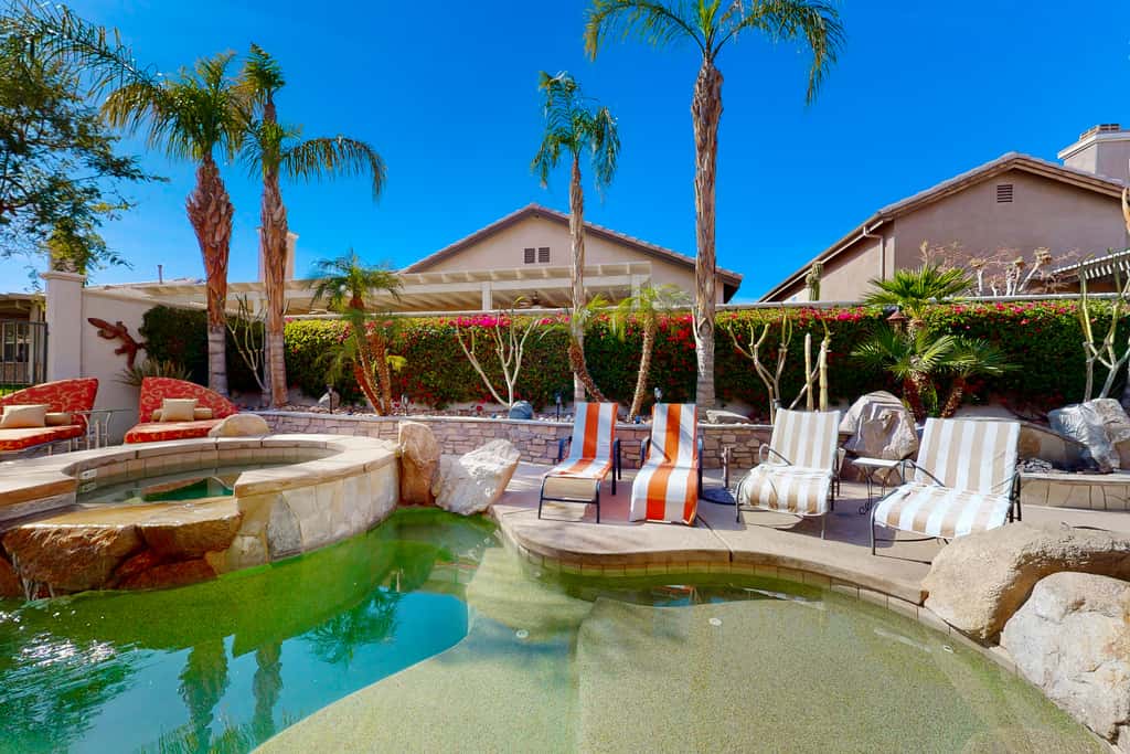 Life by the Palms