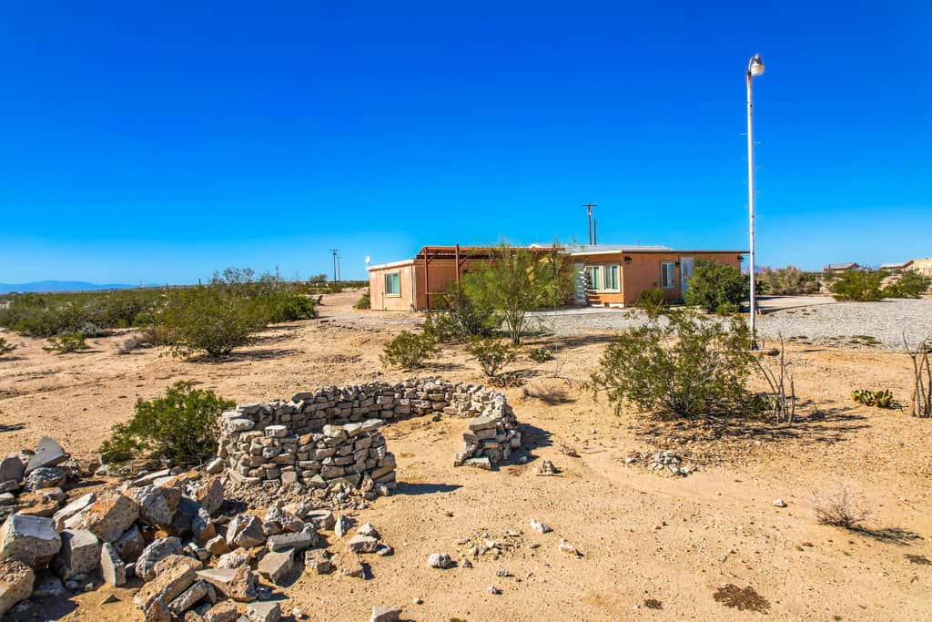 Cacti Sanctuary