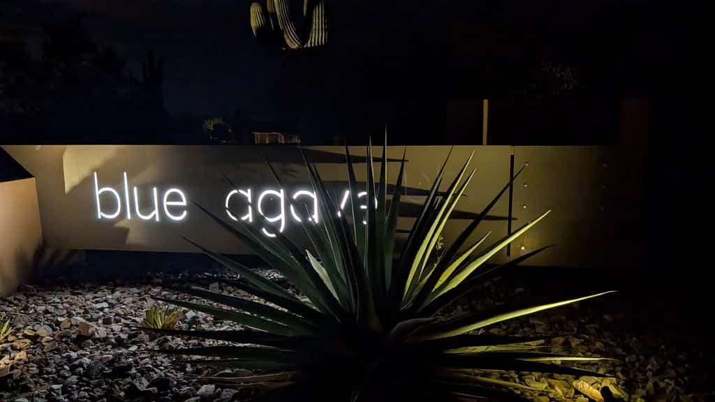 Blue Agave Dreams