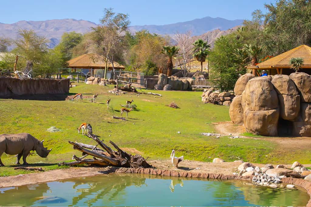 Ridgecrest Retreat