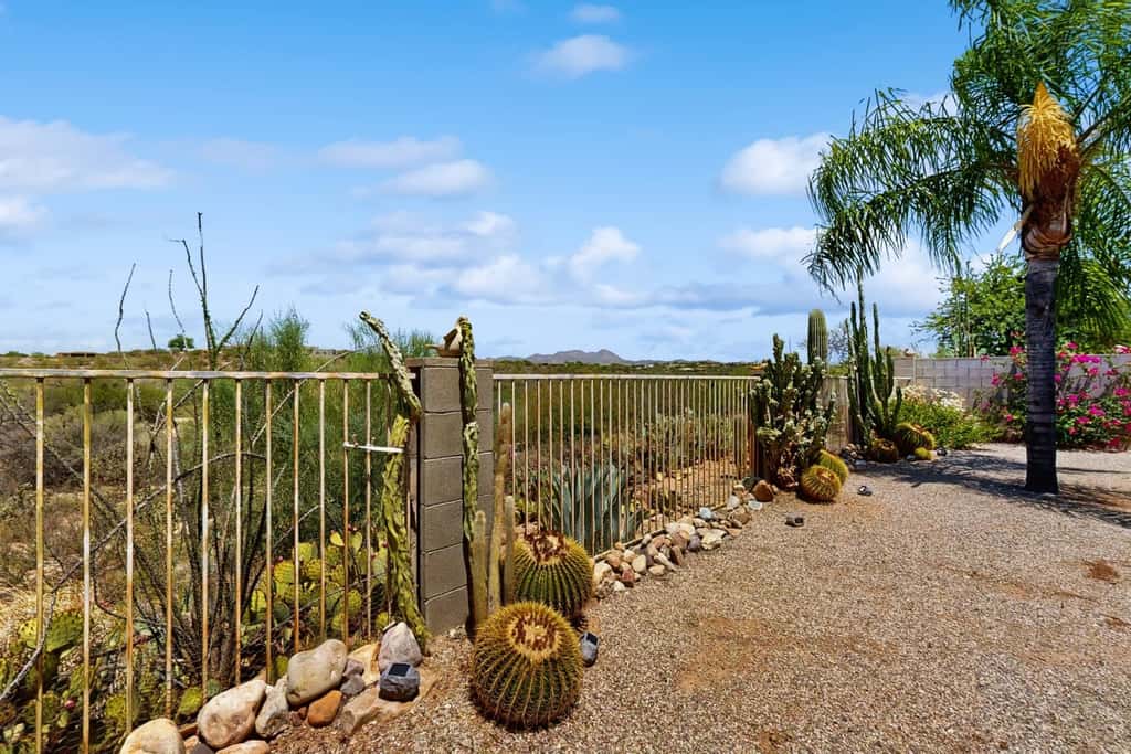 The CW Desert Oasis