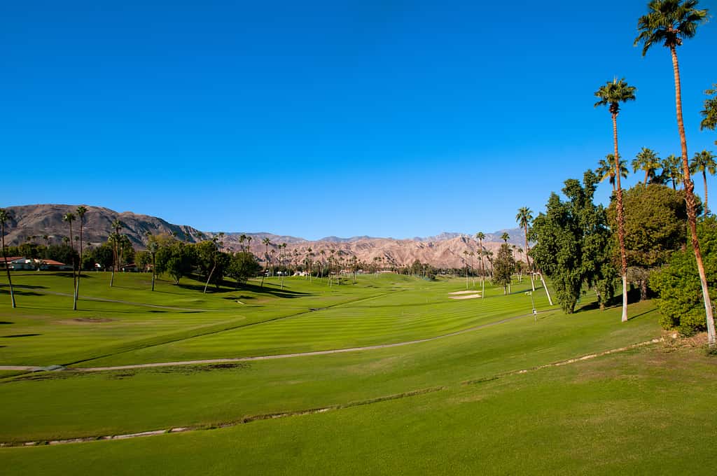 Where the Airways Meet the Fairways