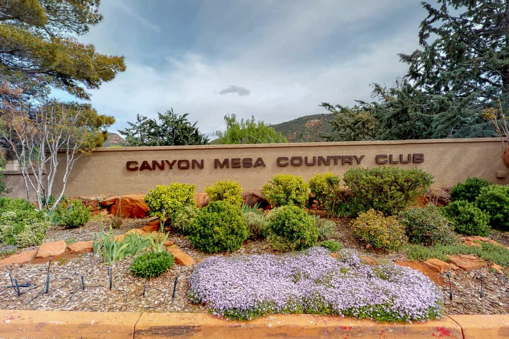 Canyon Lookout
