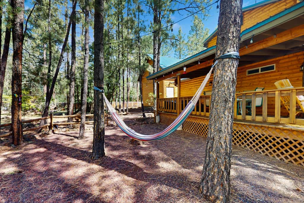 Dam Fun Cabin