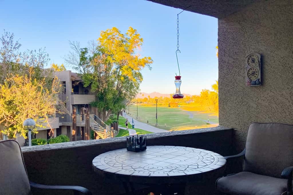 A Place Amidst the Mountains