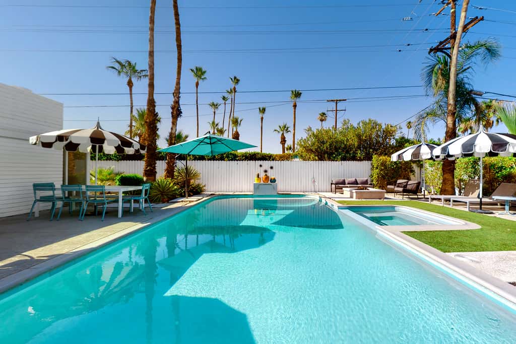 The Arrow of Twin Palms - Midcentury Alexander - 3505