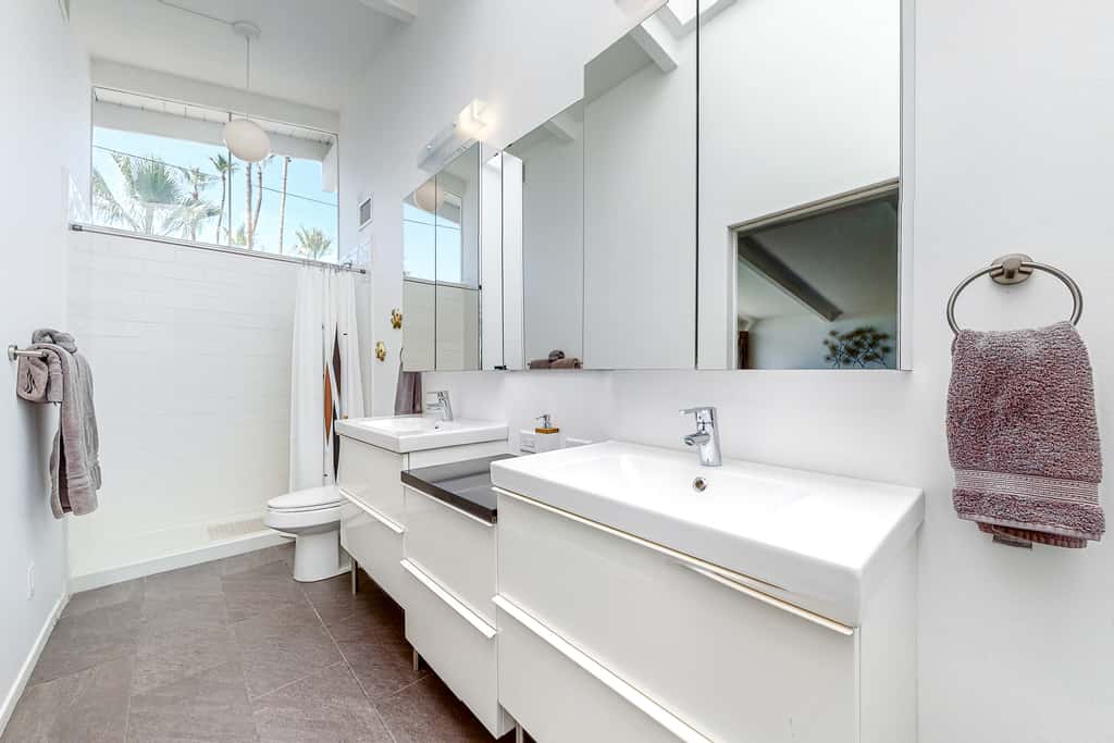 The Arrow of Twin Palms - Midcentury Alexander - 3505