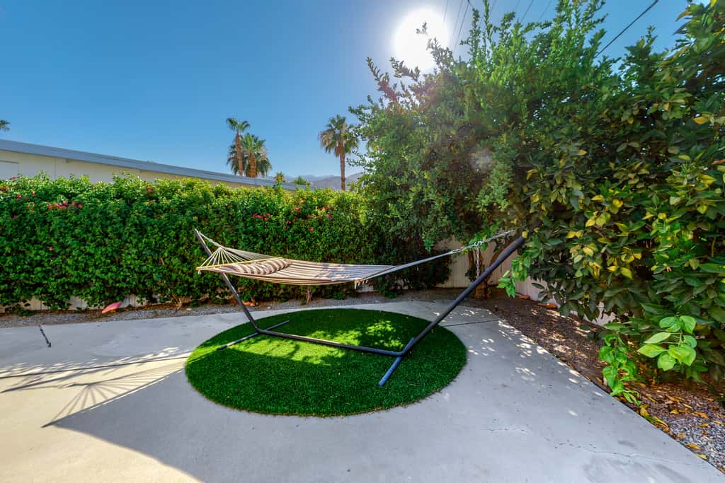 The Arrow of Twin Palms - Midcentury Alexander - 3505