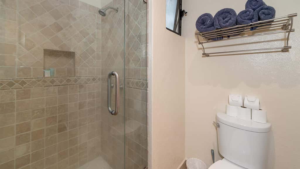Peninsula Luxury Condo Vidanta Golf & Beach Access