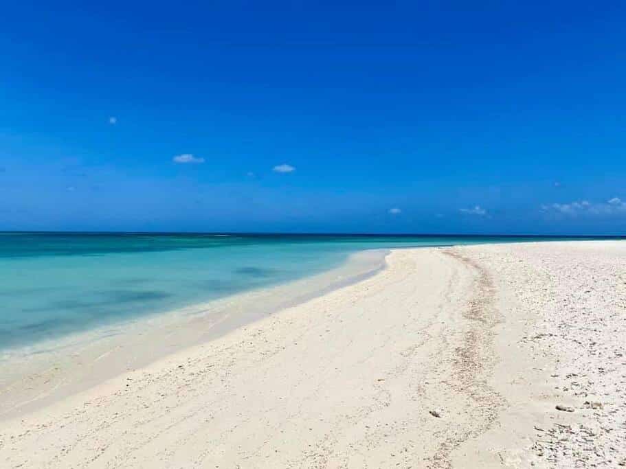 Aruba Breeze Condo A5