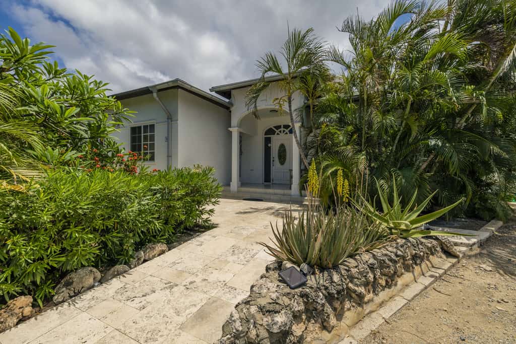 Parrot Villa - Stunning vacation home near Eagle Beach