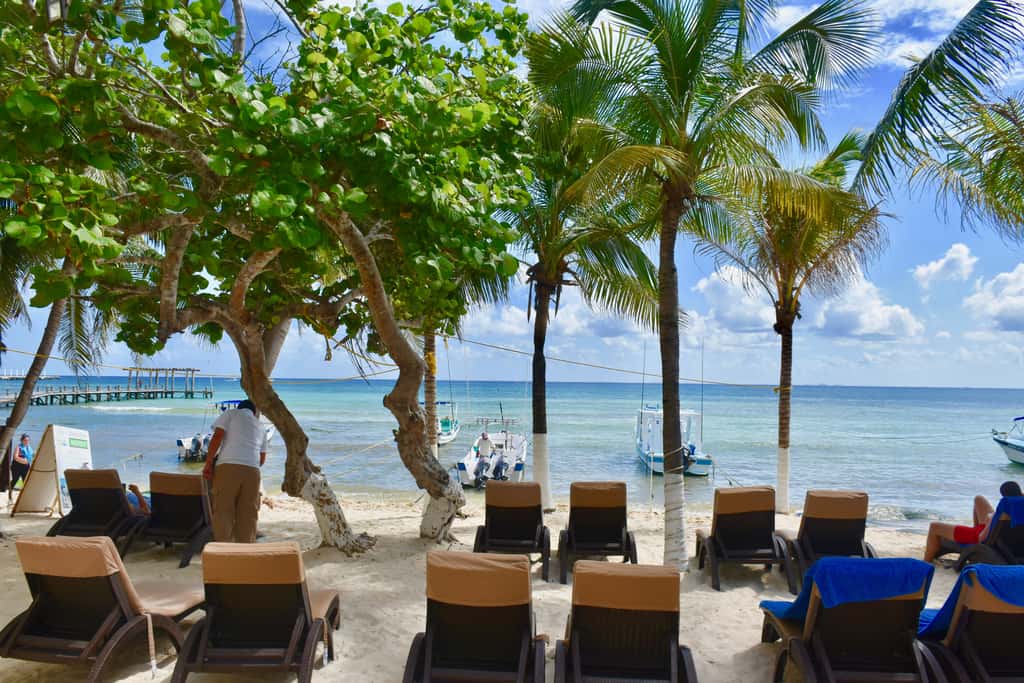 Playa Palms Beach Hotel Playa Palms 103 Ocean view