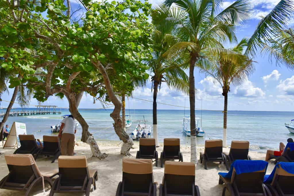 Playa Palms Beach Hotel Playa Palms 204 Ocean view
