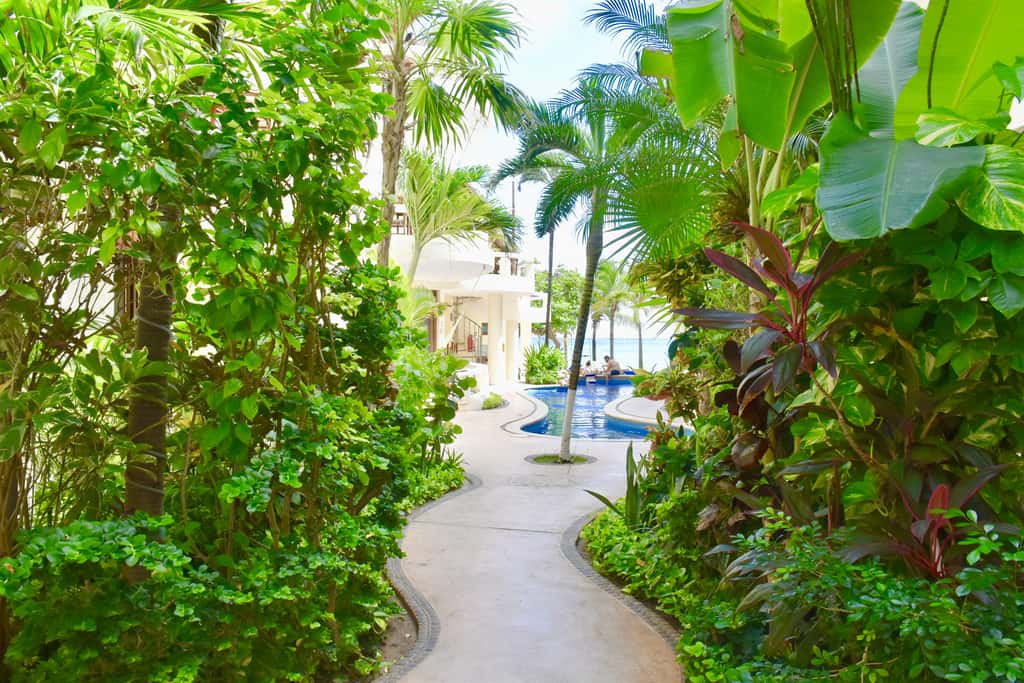 Playa Palms Beach Hotel Playa Palms 205 Ocean view