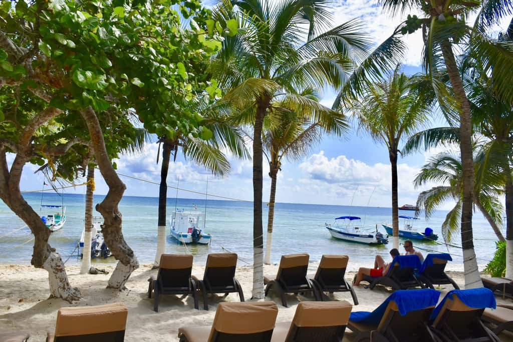 Playa Palms Beach Hotel Playa Palms 213 Ocean View