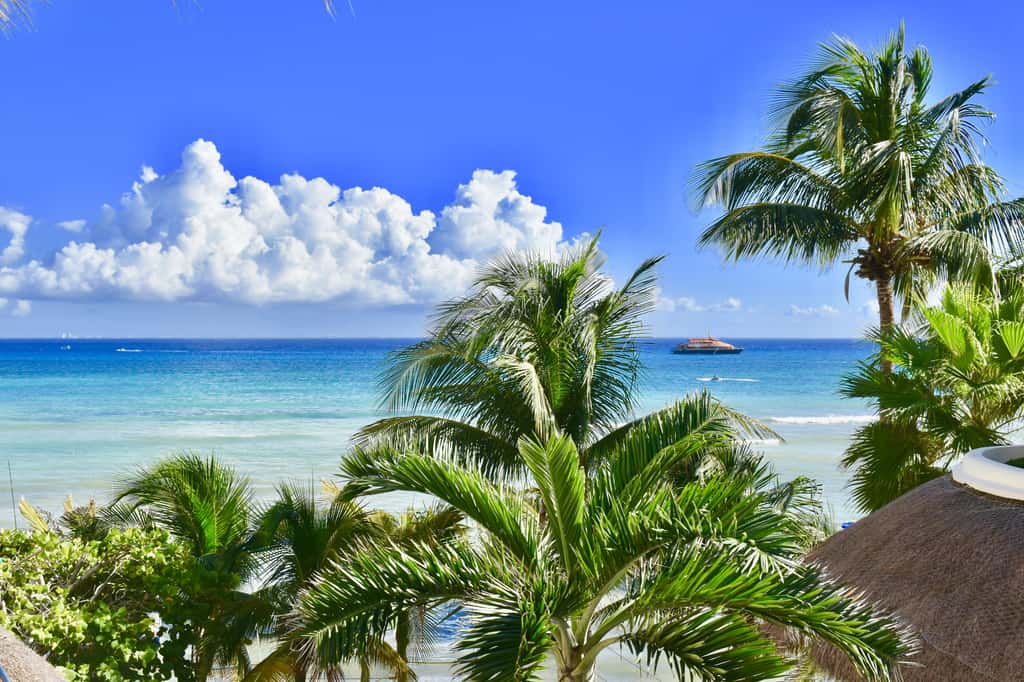 Playa Palms Beach Hotel Playa Palms 302 Ocean View
