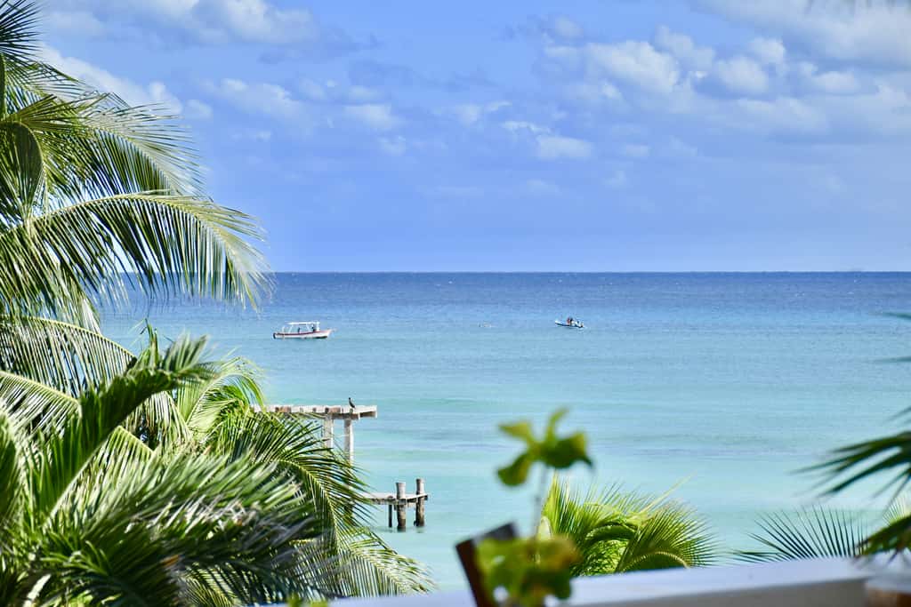 Playa Palms Beach Hotel Playa Palms 310 Ocean View King