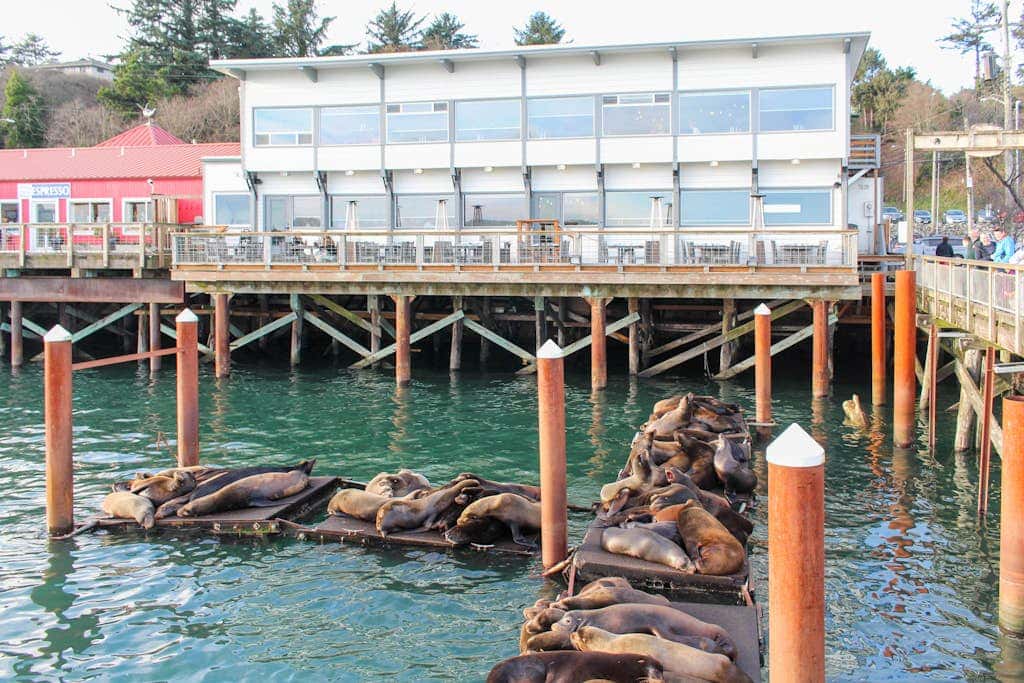 Ideal getaway on the water with private balcony, cozy layout, and free WiFi