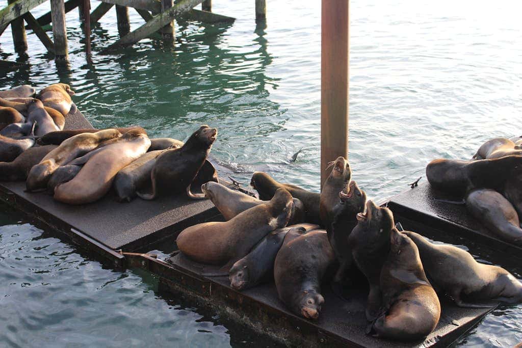 Ideal getaway on the water with private balcony, cozy layout, and free WiFi