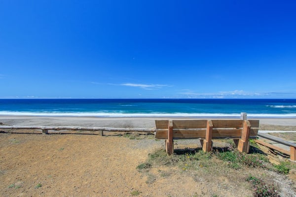 Oregon Bed n' Beach