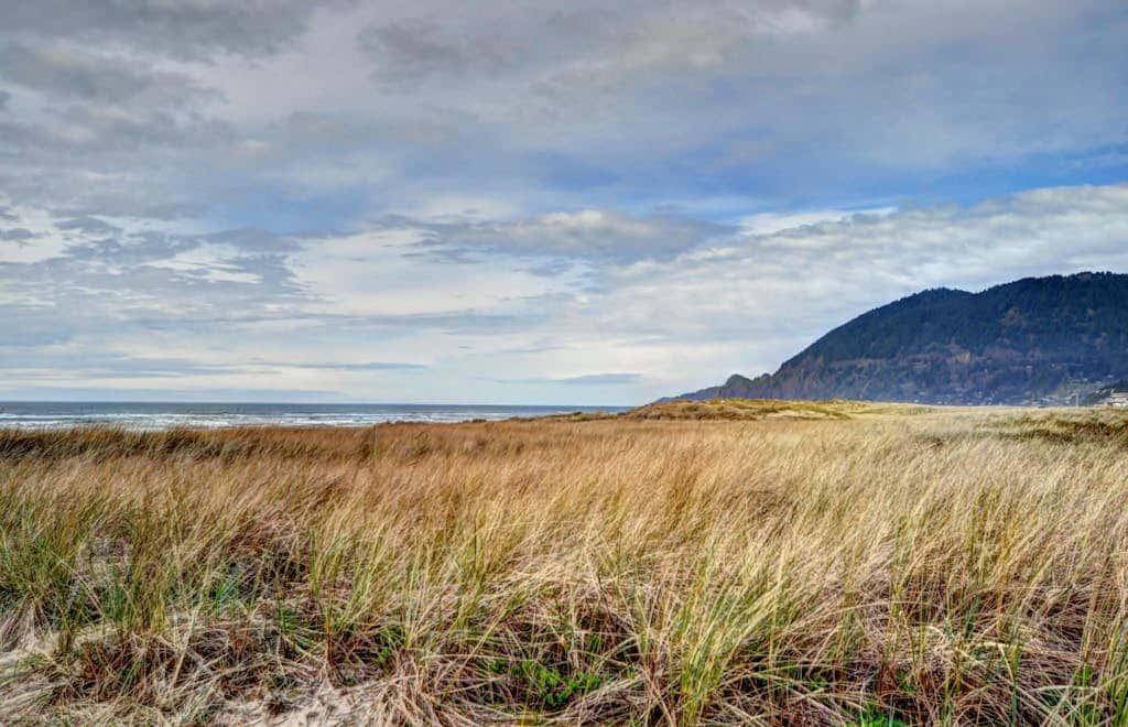 Dog-friendly downtown home moments from the beach w/ distant ocean views