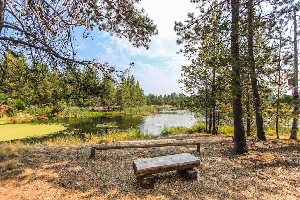Cabin-style home with hot tub, SHARC passes, central location near skiing & golf