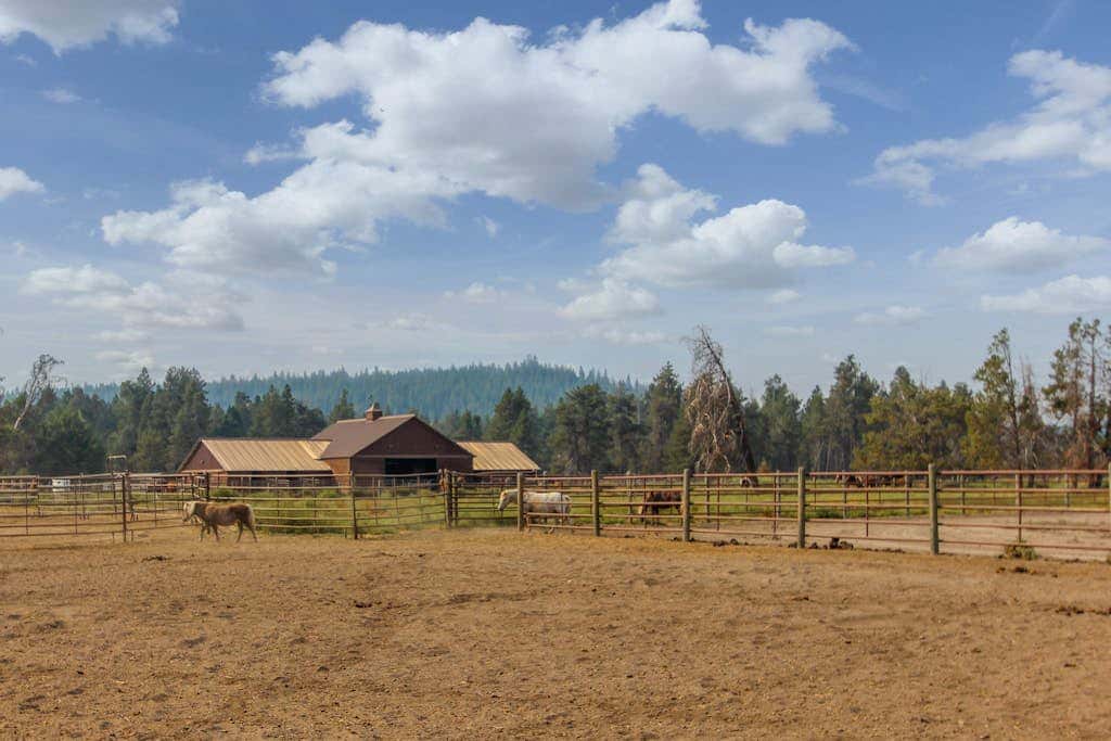 Dog-friendly home with private hot tub, fast WiFi, gas fireplace & SHARC passes