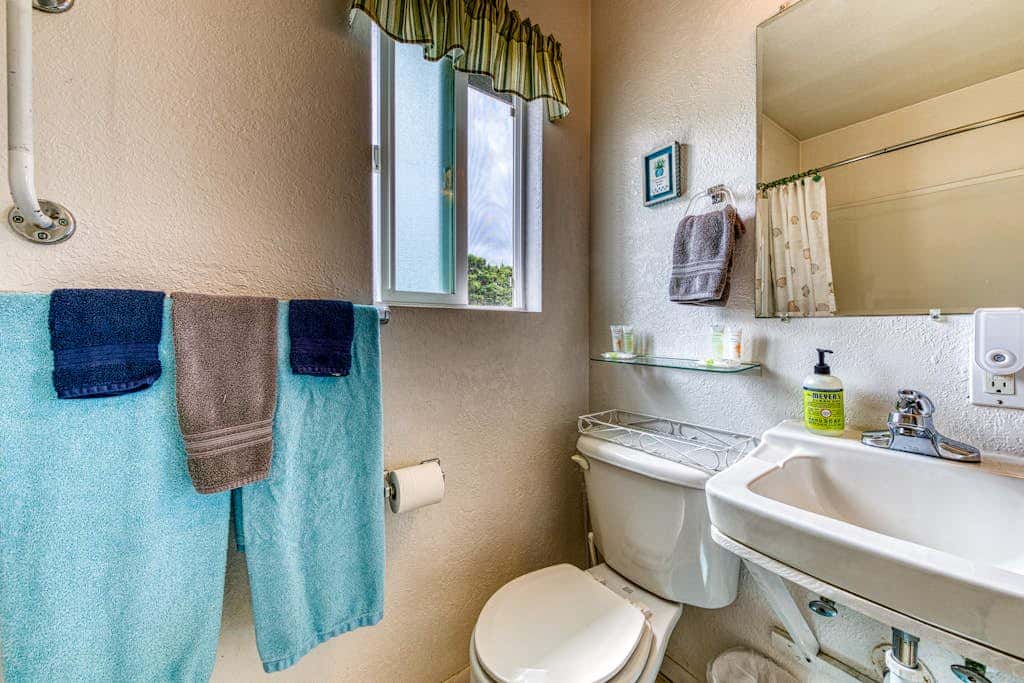 Inviting dog-friendly studio with unobstructed ocean views