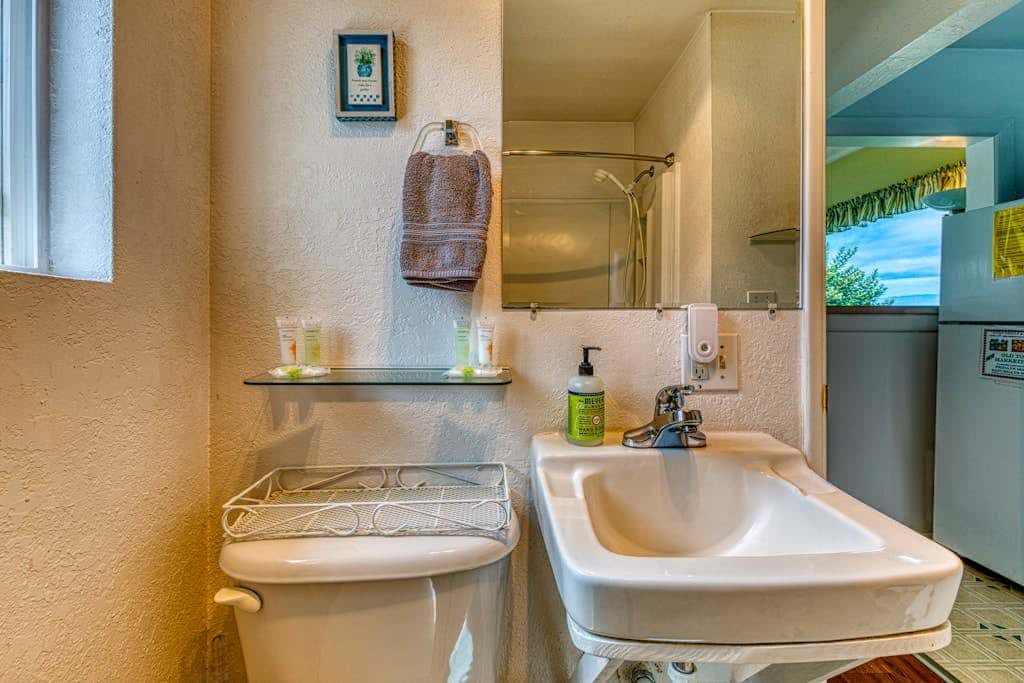 Inviting dog-friendly studio with unobstructed ocean views