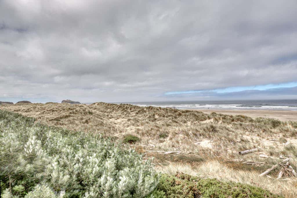 Oceanfront dog-friendly house w/deck overlooking the water