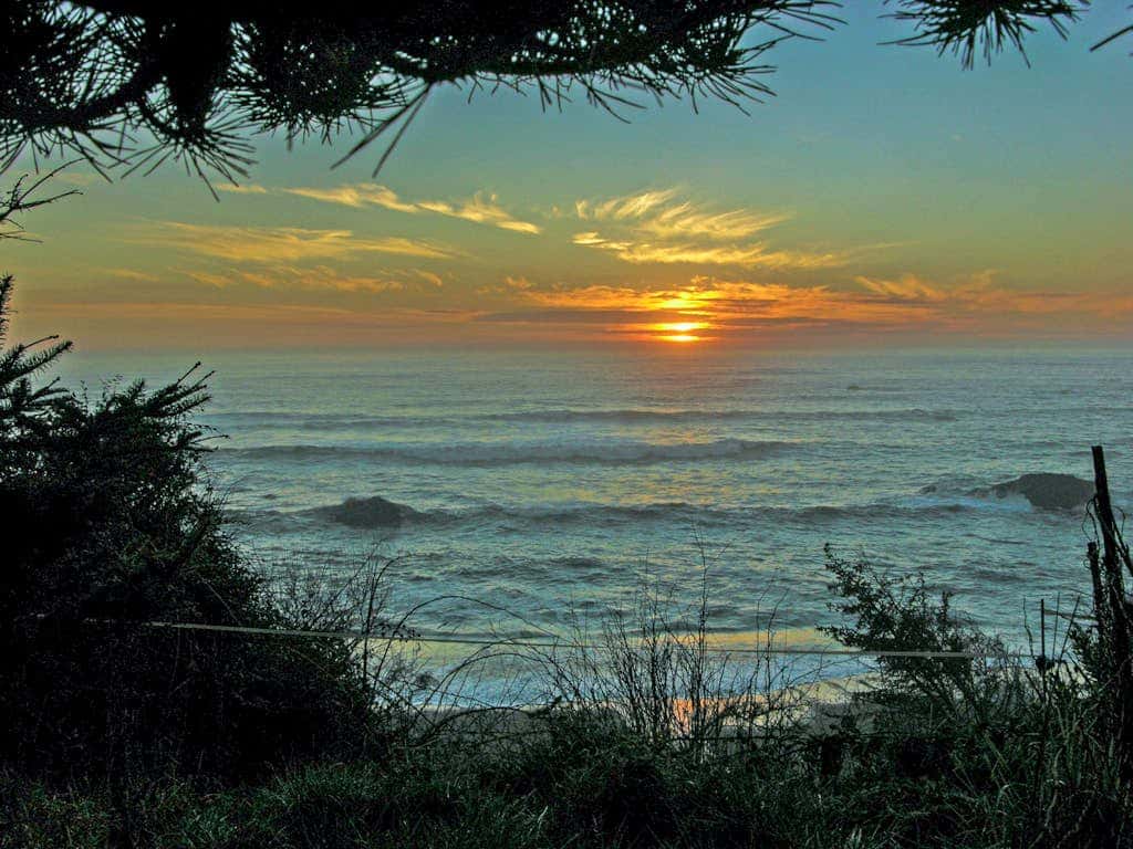Oceanfront cottage with private hot tub & W&D- central locale near beach access